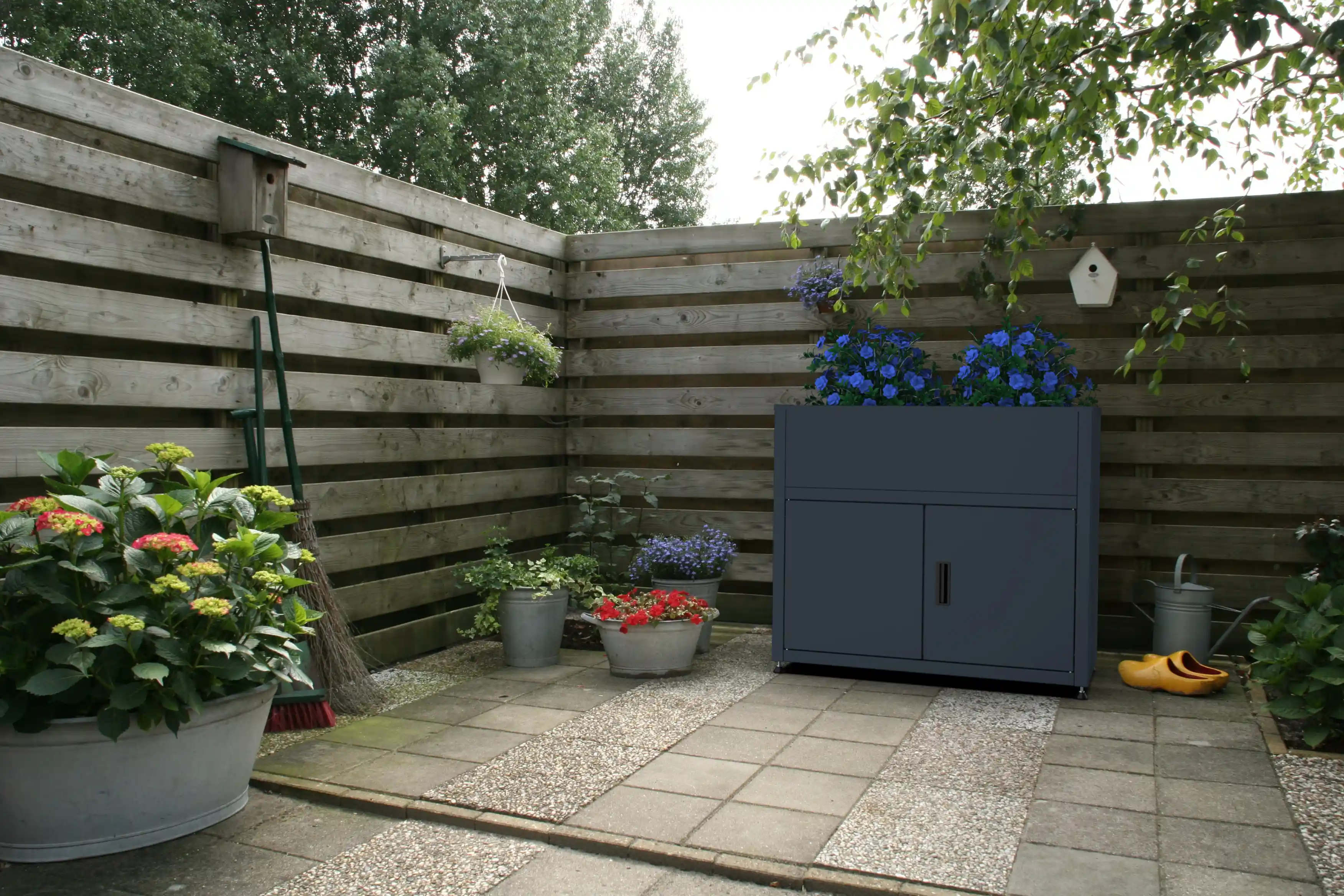 Pflanzkasten mit blauen Hortensien in einer gemütlichen Gartenecke mit Holzzaun.